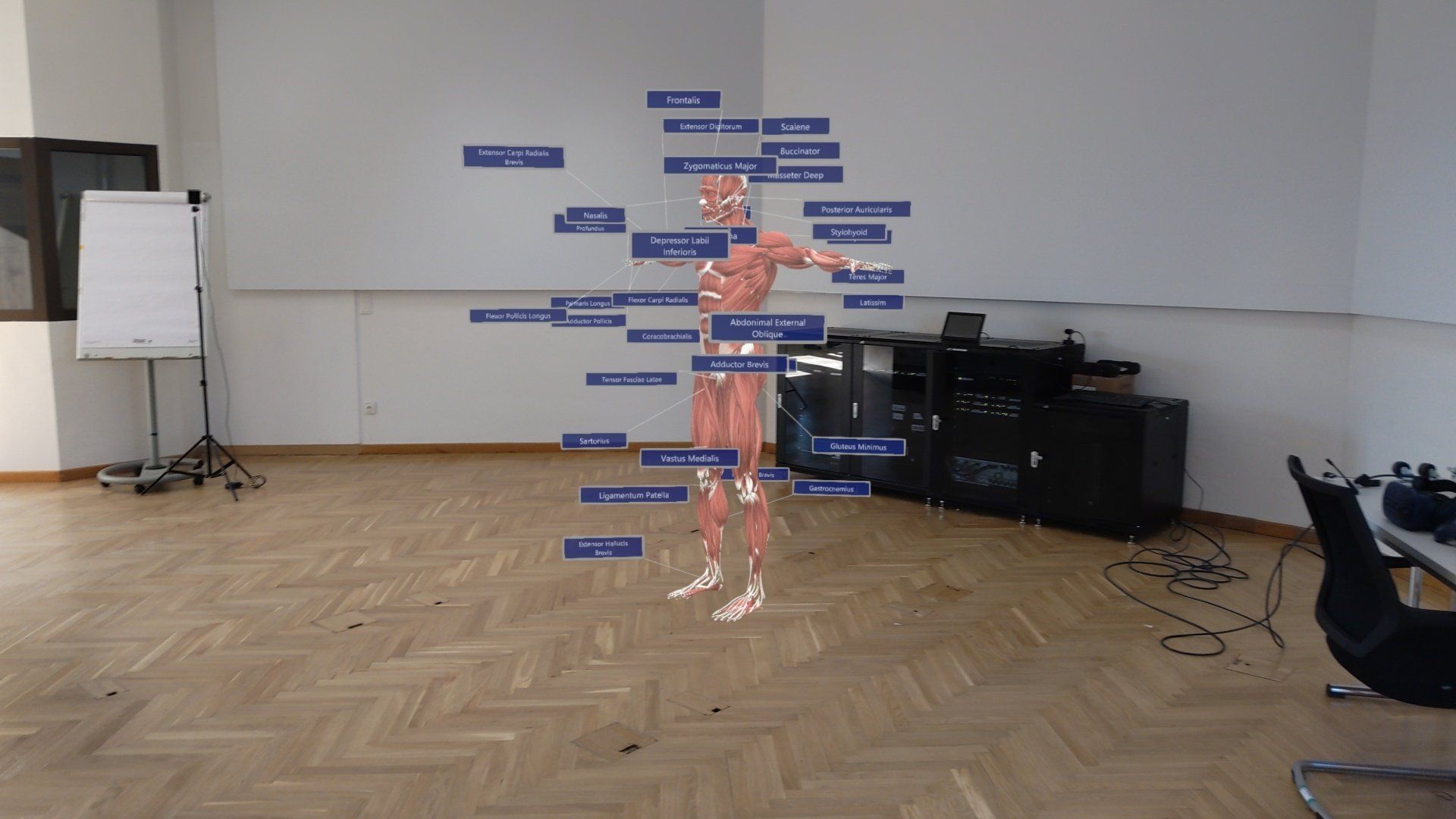 Anatomie-MR